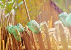 Mastering Daily Routines Step-by-Step for Success