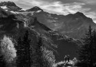 The Future of Remote Work Setup: Trends & Predictions