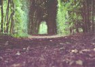 Simplifi Your Finances: Easy & Smart Budgeting Tips