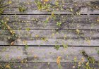 Smart Strategies for Investing & Building Passive Income