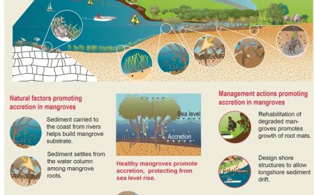 The Ultimate Guide to Effective Change Management