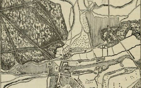 Unlocking Organizational Excellence: A Comprehensive