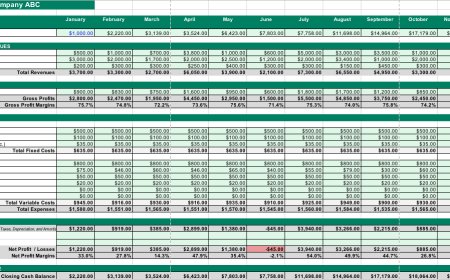 Mastering Cash Flow Forecasting: A Comprehensive Guide