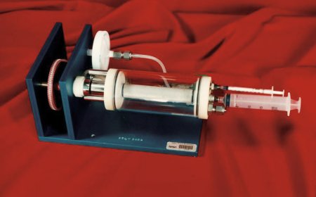 Unlocking the Secrets of Startup Culture Development: A