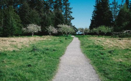 Proven Personal Finance Strategies for Financial Freedo