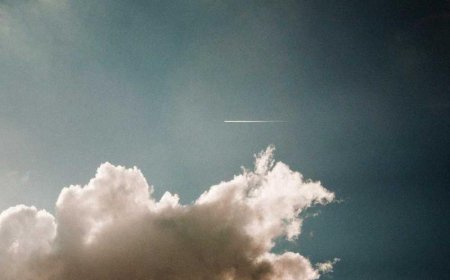 Elevating B2B SaaS Startups: A Proven Content Marketing