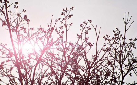 Unlocking the Power of Content Repurposing: A...