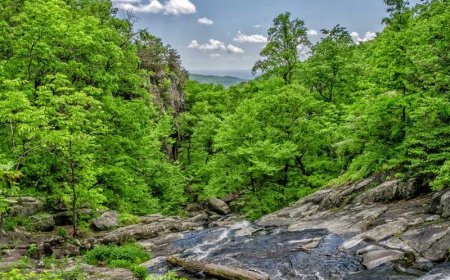 10 Captivating Interactive Content Ideas to Boost...