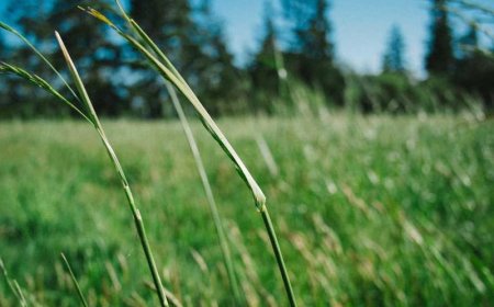 10 Guerrilla Marketing Tactics to Boost Local Event...