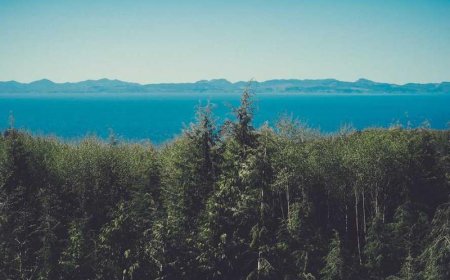 Uncover the Power of Long Tail: Expert Tactics for...