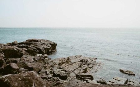 Unlocking Local Dominance: Expert-Backed Content...