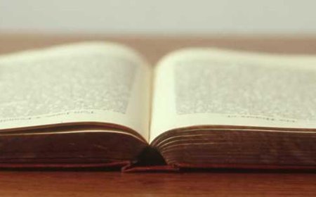 Elevating Brands: Mastering Storytelling in Digital...