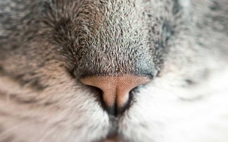 Elevating Your Marketing: 7 Ingenious Content...