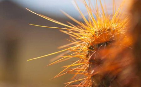 Surprising A/B Test Ideas to Boost Your Marketing...