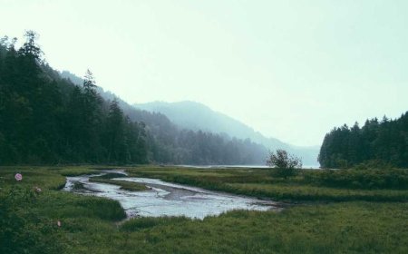 Unlocking the Future: Time Series Forecasting with LSTM