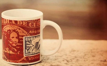 The Surprising Importance of Daily Routines for Small.