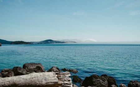 Balancing Act: Navigating the Pitfalls of Work-Life