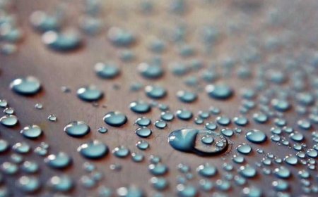 Navigating the Pitfalls: Avoiding Common Mistakes in