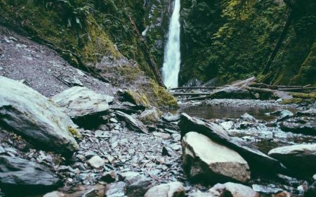 Navigating the Remote Work Frontier: A Beginner's Guide