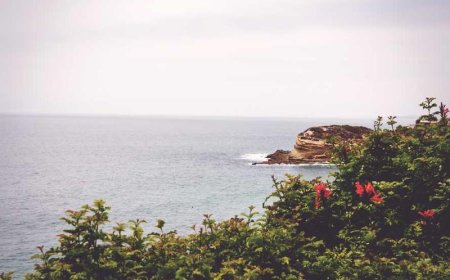 Unlock the Power of Routine: A Beginner's Guide to Success