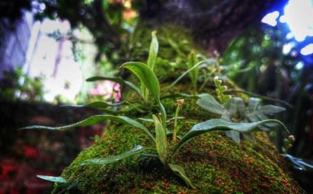 Why Personal Productivity Is Falling Out of the Spotlight