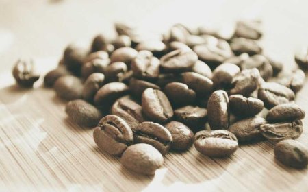 Ultimate Guide to Creating a Comfortable and Stylish Home