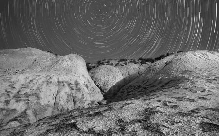 The Future of Home Workspaces: Trends & Predictions