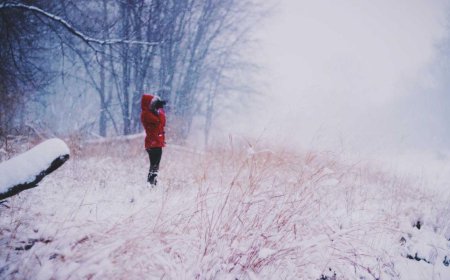 Ultimate Guide to Creating a Comfortable Home Environment