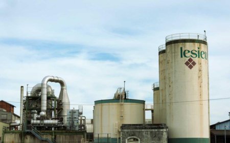 Beginner's Guide to Setting Up Your Home Workspace