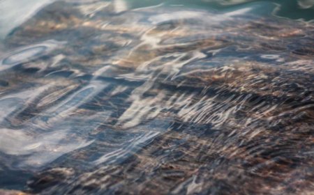 How Remote Work Setup Transformed My Career Journey