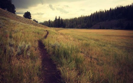 Mastering Work-Life Balance for Beginners: Essential Tips