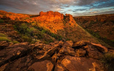 The Future of Remote Work Setup: Trends and Predictions