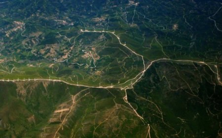 What I Learned from Doing Daily Routines Every Day