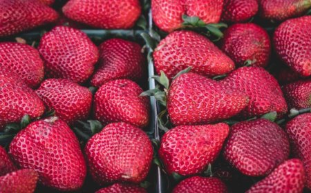 Why Daily Routines Are Essential for Small Business Success