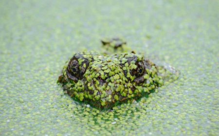 A Simple Method to Improve Your Home Workspace