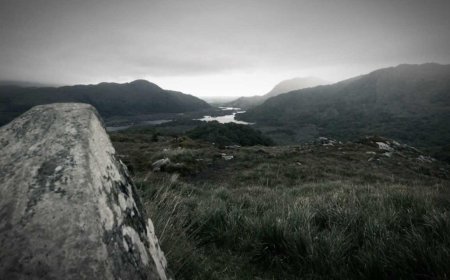 Easy Tips to Enhance Your Remote Work Setup