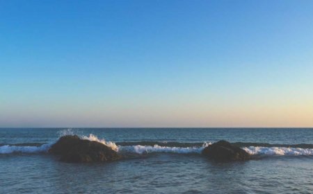 Beginner's Guide to Setting Up a Productive Home Workspace