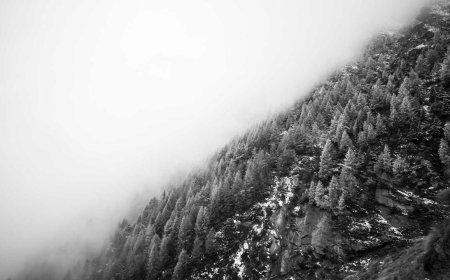 Why No One Talks About Home Workspace Anymore