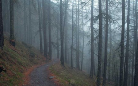 Master Personal Productivity: A Beginner's Guide to Success