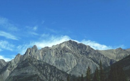 How to Handle Remote Work Setup for Beginners