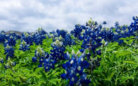 Advanced Techniques to Boost Your Personal Productivity