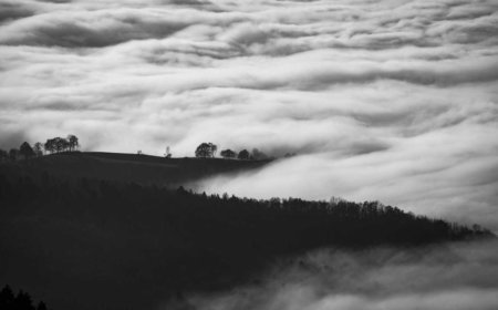 Mastering Your Home Workspace Step-by-Step for Productivity