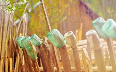 Mastering Daily Routines Step-by-Step for Success