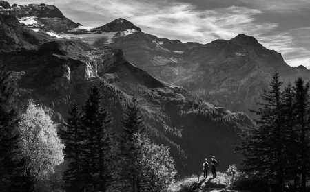 The Future of Remote Work Setup: Trends & Predictions