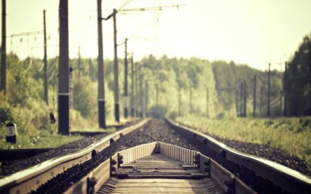 Unexpected Benefits of Daily Routines You Should Know