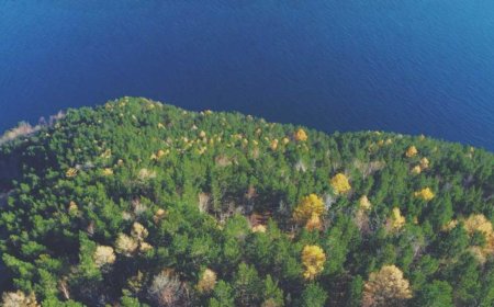 Top Tips for Personal Productivity in 2025