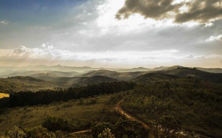 Little-Known Facts About Daily Routines You Never Knew