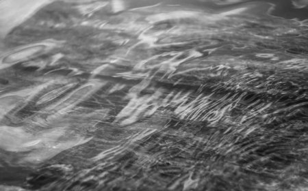 How Remote Work Setup Transformed My Career Journey