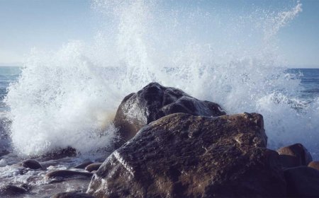 Money Lover: Master Your Finances with Ease