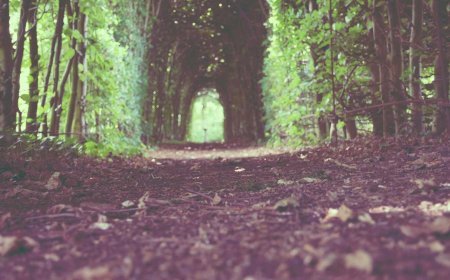 Simplifi Your Finances: Easy & Smart Budgeting Tips